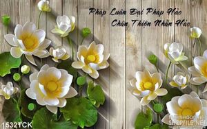 Tranh hoa sen trắng demo