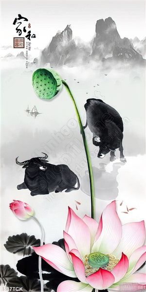 Tranh màu nước sen và chú trâu