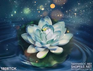 Tranh sơn dầu hoa sen cô đơn trong đêm trăng dán tường