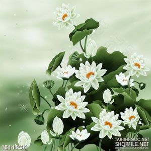 Tranh in canvas những bông sen trắng sơn dầu trên mặt hồ