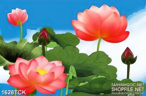 Tranh  sơn dầu hoa sen dưới bầu trời xanh in treo tường
