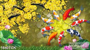 Tranh nghệ thuật mai vàng nở rộ trên mặt hồ cá koi