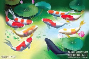 Tranh sơn dầu cá koi dưới những tán lá sen in canvas