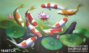 Tranh in canvas bông sen hồng nằm giữa đàn cá koi