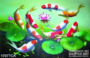 Tranh in treo tường hoa sen giữa lòng hồ cá koi sơn dầu