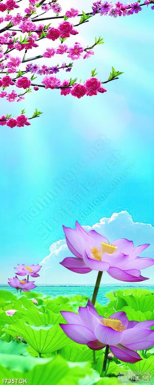 Tranh cành đào nở rộ trên hồ hoa sen sơn dầu dán tường