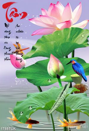 Tranh sơn dầu đôi cá chép vàng dưới tán lá sen  trang trí