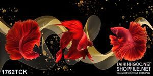 Tranh in dán tường những chú cá sim betta đỏ trong đêm