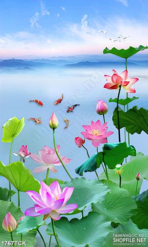 Tranh sơn dầu hoa sen yên tĩnh bên trời xanh in canvas