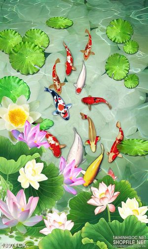 Tranh những bông sen tím trên mặt hồ in dán tường