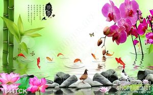 Tranh cá chép vàng bên nhành phong lan in dán tường