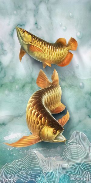 Tranh sơn dầu cá chép vàng trong làng nước in canvas