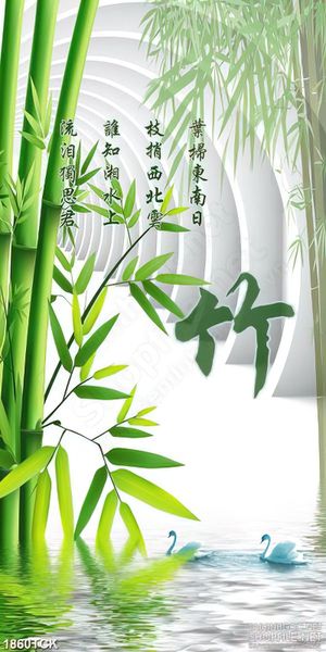 Tranh cây tre xanh bên hồ thiên nga trắng in dán tường
