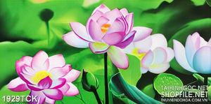 Tranh sơn dầu hoa sen bên màu xanh của lá in treo tường