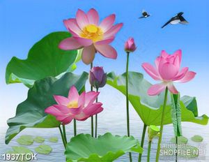 Tranh những bông sen trên mặt hồ nước in treo tường