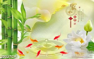 Tranh trang trí đàn cá chép bên đóa sen trắng tinh khiết
