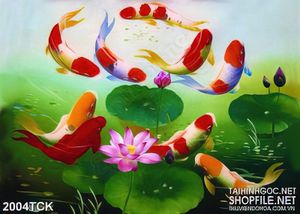 Tranh sơn dầu cá koi trong hồ sen xanh biếc in dán tường
