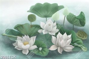 Tranh nghệ thuật sơn dầu hoa sen trắng trong hồ cá chép