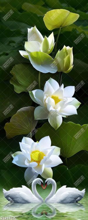 Tranh in uv đôi thiên nga trắng bên hoa sen xinh đẹp