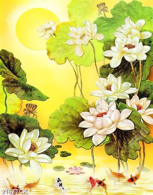 Tranh đàn cá chép vàng bơi dưới hồ sen trắng in 3d