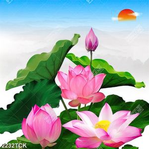 Tranh trang trí những bông hoa sen hồng bên trời xanh