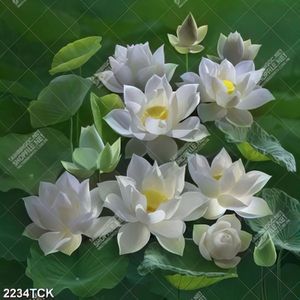 Tranh nghệ thuật những bông hoa sen trắng chen chúc lá