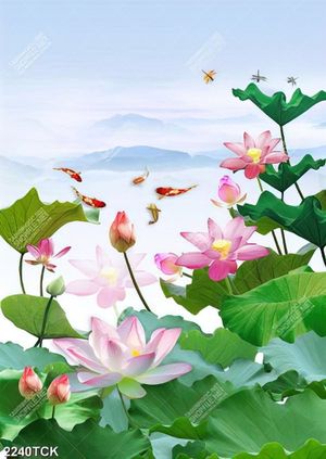 Tranh hồ cá chép phủ đầy những bông hoa sen hồng