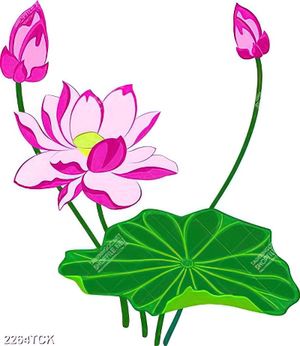 Tranh nghệ thuật lá sen xanh non bên bông hoa sen hồng