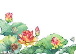 Tranh sơn dầu những bông hoa sen màu đỏ bên lá xanh