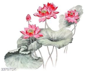 Tranh thủy mạc đầm hoa sen màu hồng rực rỡ in 8d