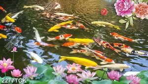 Tranh đàn cá chép bơi tung tăng trong hồ hoa sen hồng