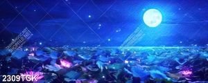 Tranh nghệ thuật ánh trăng sáng trên mặt hồ hoa sen