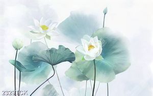 Tranh hồ hoa sen trắng  khoe sắc xinh đẹp dán tường
