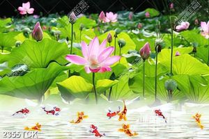 Tranh in tường những bông hoa sen hồng và cá chép