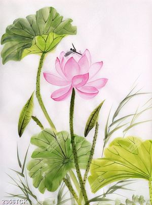 Tranh vẽ hoa sen hồng và chú chuồn chuồn trong gió