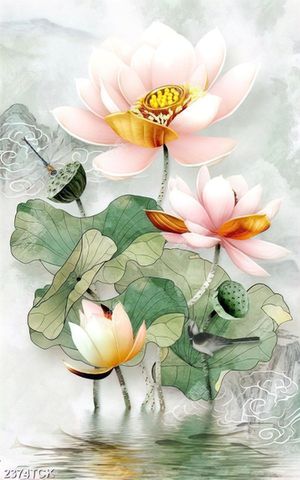 Tranh những bông hoa sen hồng bên chú chuồn chuồn