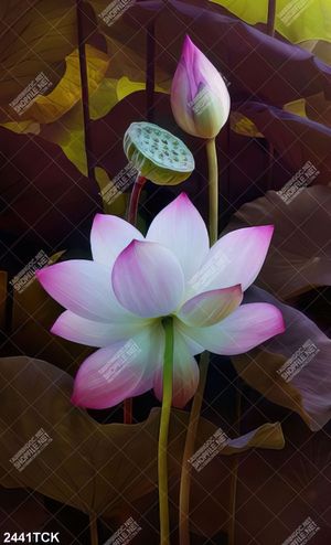 Tranh in uv bông hoa sen trắng nhiều cánh trong hồ