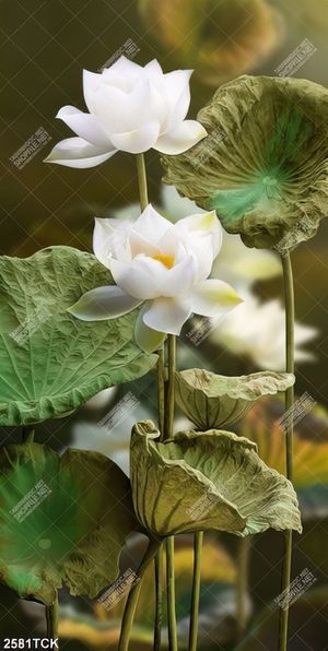 Tranh trang trí những bông hoa sen trong hồ cá chép