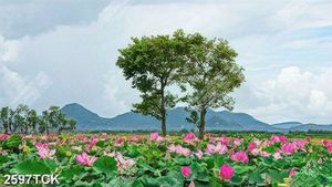 Tranh in canvas những bông sen hồng giữa bầu trời xanh