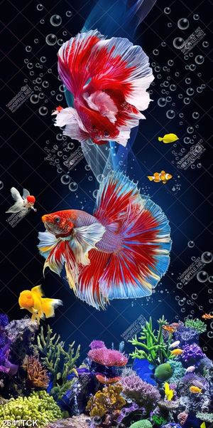 Tranh chú cá chép mang sắc đỏ bơi trong làn nước đêm