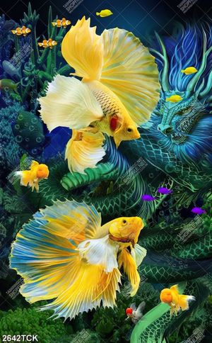 Tranh in canvas hai chú cá sim betta xinh đẹp trong hồ