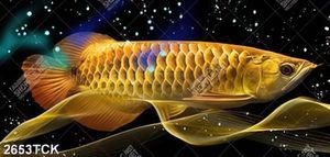 Tranh chú cá chép vàng khổng lồ trong dòng nước về đêm