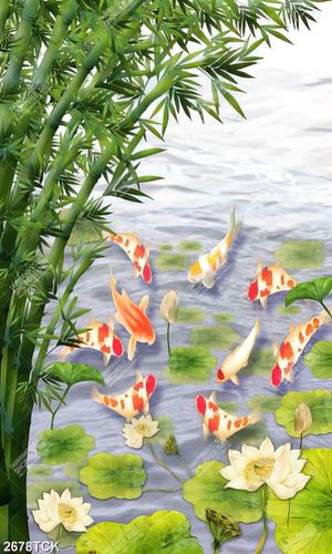 Tranh hồ hoa sen trắng bên đàn cá chép vàng tung tăng