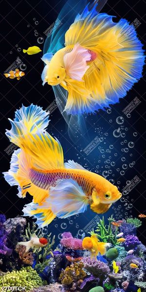 Tranh hai chú cá sim betta mang sắc vàng xinh đẹp in 3d
