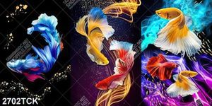 Tranh in canvas ghép ba tấm những chú cá sim betta xinh đẹp