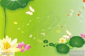 Tranh hoa sen, cá chép dán tường