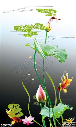 Tranh hoa sen, cá chép phong thủy