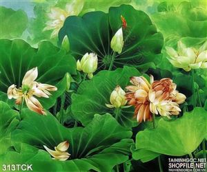 Tranh hoa sen, cá chép trang trí nghê thuật