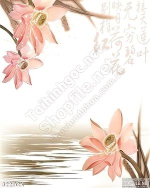 Tranh hoa sen, cá chép dán tường