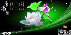 Tranh hoa sen, cá chép thư pháp phong thủy